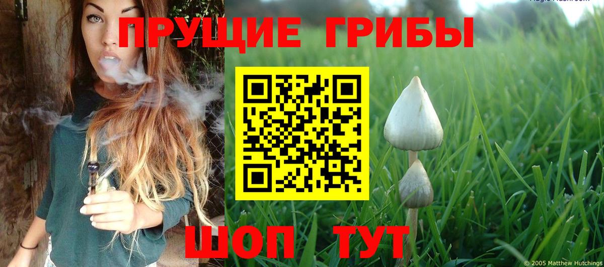 Всеволожск  Галлюциногенные грибы Psilocybine cubensis  Вход с VPN  Псилоцибиновые грибы Magic Shrooms 